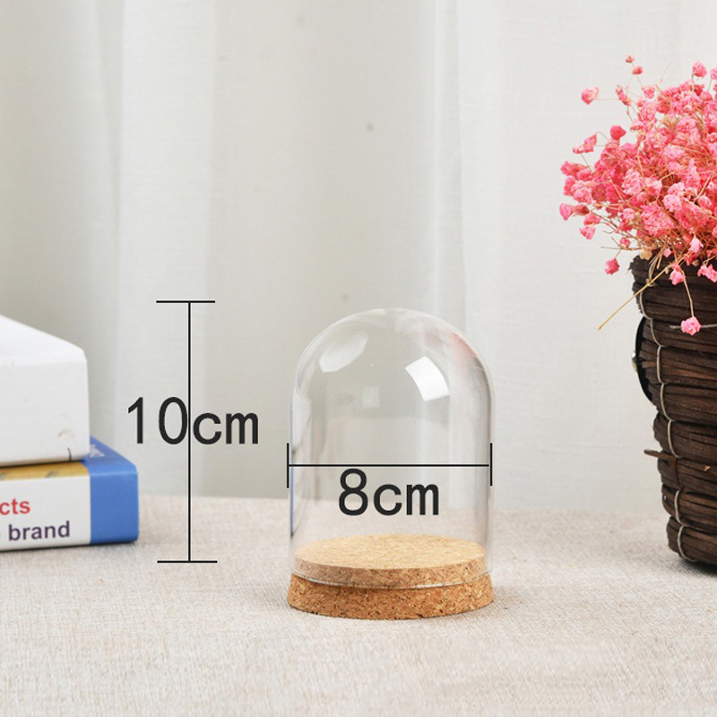 Terrarium Glass Bottle - 多肉植物用の透明なガラスドームカバー,透明な容器,家の装飾用品,DIY
