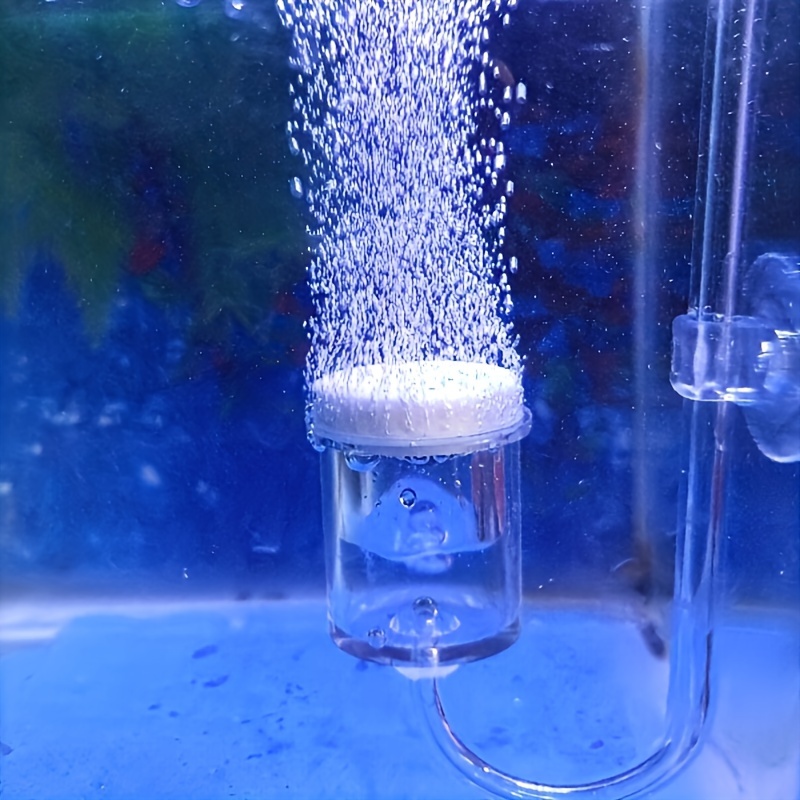 Terrarium Glass Bottle - 水族館用のCO2噴霧器とディフューザー,バブルカウンター,吸盤で確認,植えられた水槽の付属品