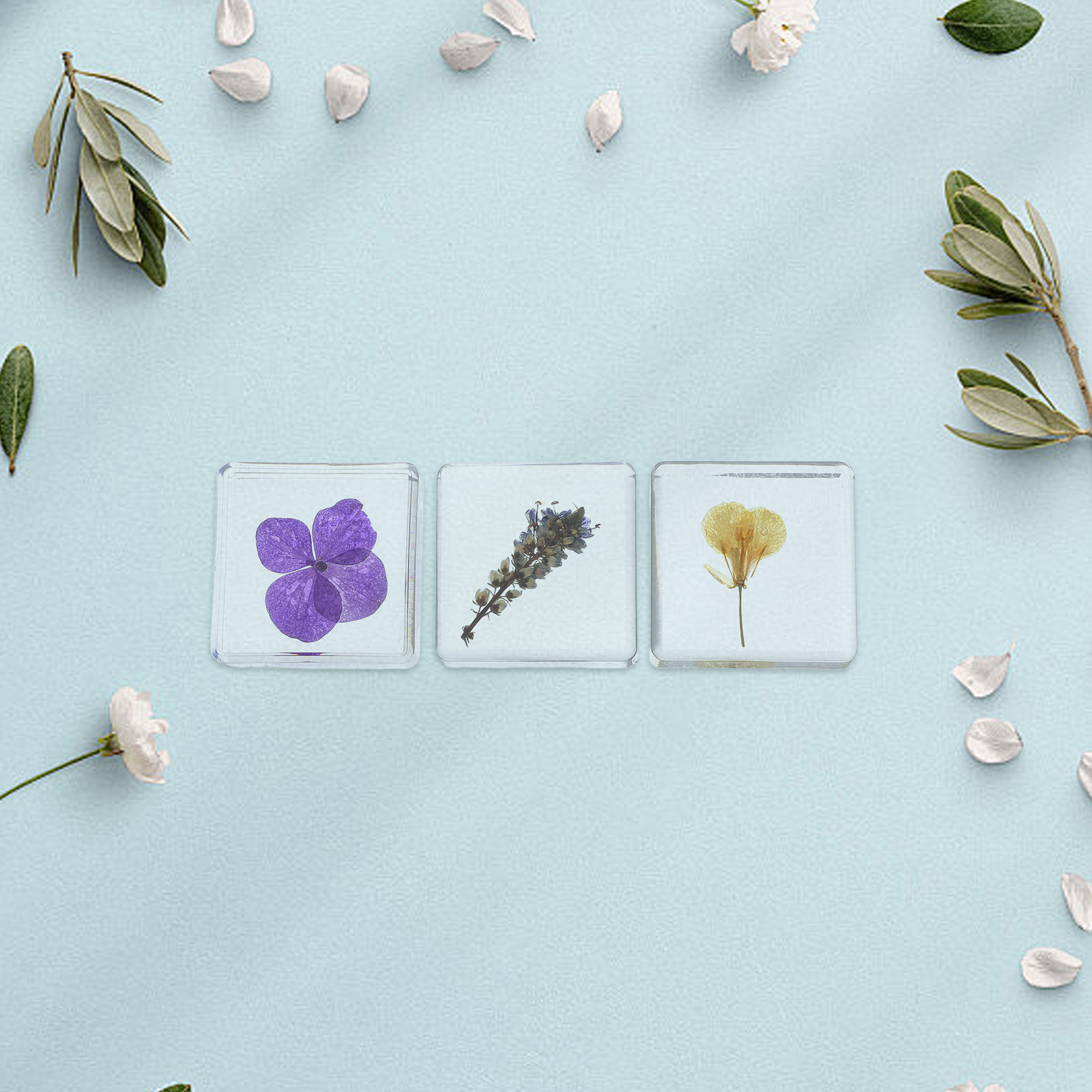 Home Decor Resin - 3個入りフラワーレジン標本 植物学的多色レジンブロック 教育用 ホームスクール オフィス装飾 フラワーエクスポジションオーナメント