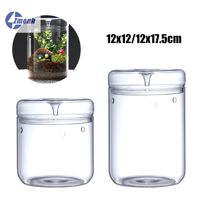 Terrarium Glass Bottle - 新商品！マイクロランドスケープガラスボトル クリエイティブ露収集花瓶 多肉植物モス盆栽 ランドスケープガラステラリウム装飾ボトル