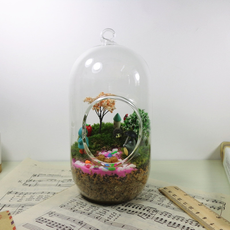 2個/パック 10*20cm 大型円筒ガラス テラリウム 花 - Terrarium Glass Bottle のレビューと価格