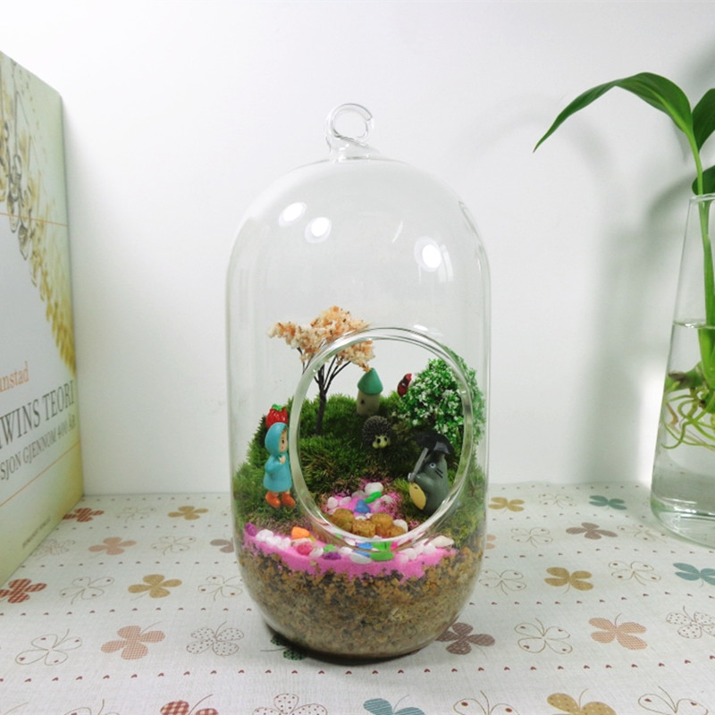 2個/パック 10*20cm 大型円筒ガラス テラリウム 花 - Terrarium Glass Bottle のレビューと価格