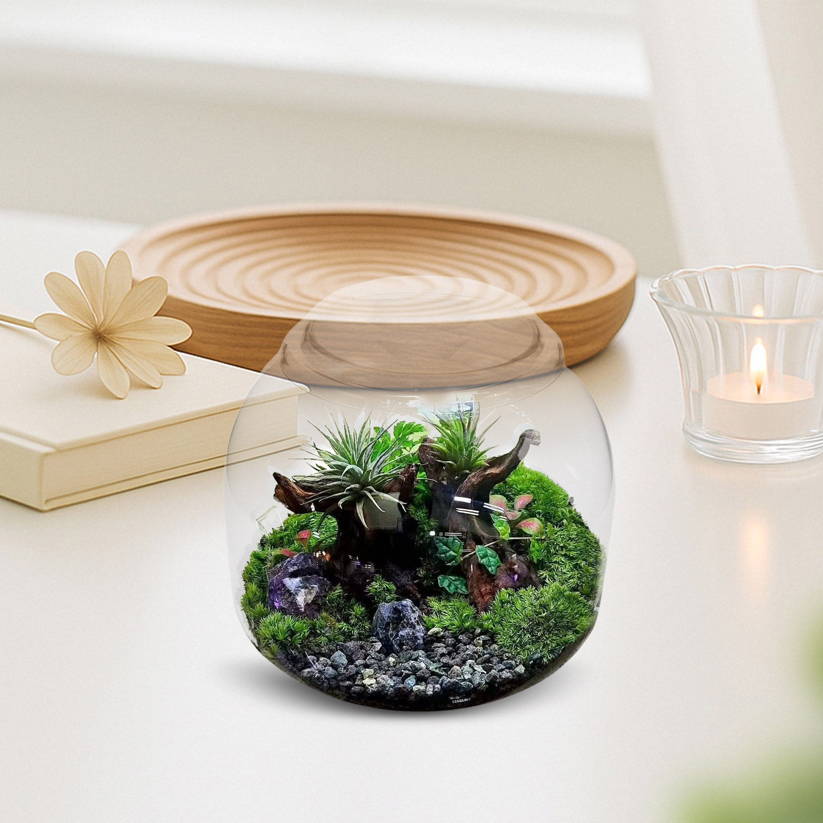 ガラス製テラリウムジャー 蓋付き 透明 マイクロランドスケー - Terrarium Glass Bottle のレビューと価格