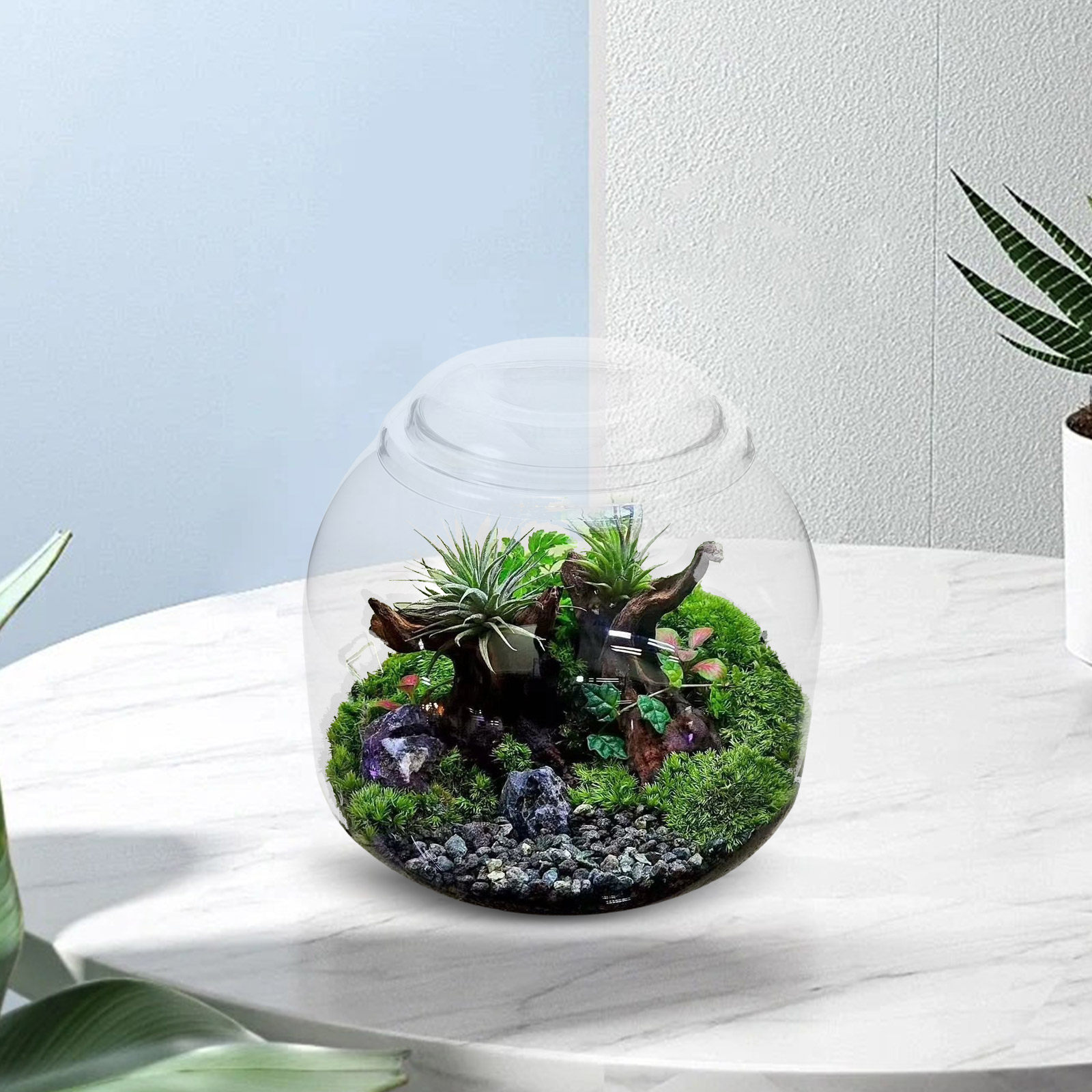 ガラス製テラリウムジャー 蓋付き 透明 マイクロランドスケー - Terrarium Glass Bottle のレビューと価格