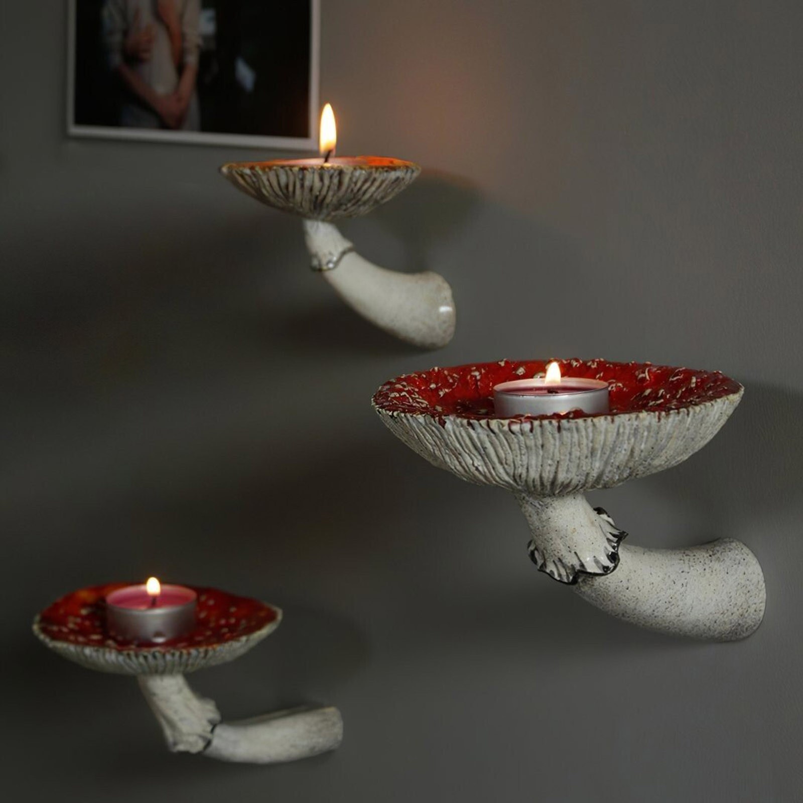 樹脂製の吊り下げ式キノコ棚,クリエイティブな壁掛け式キノコ棚 - Floating Shelves のレビューと価格