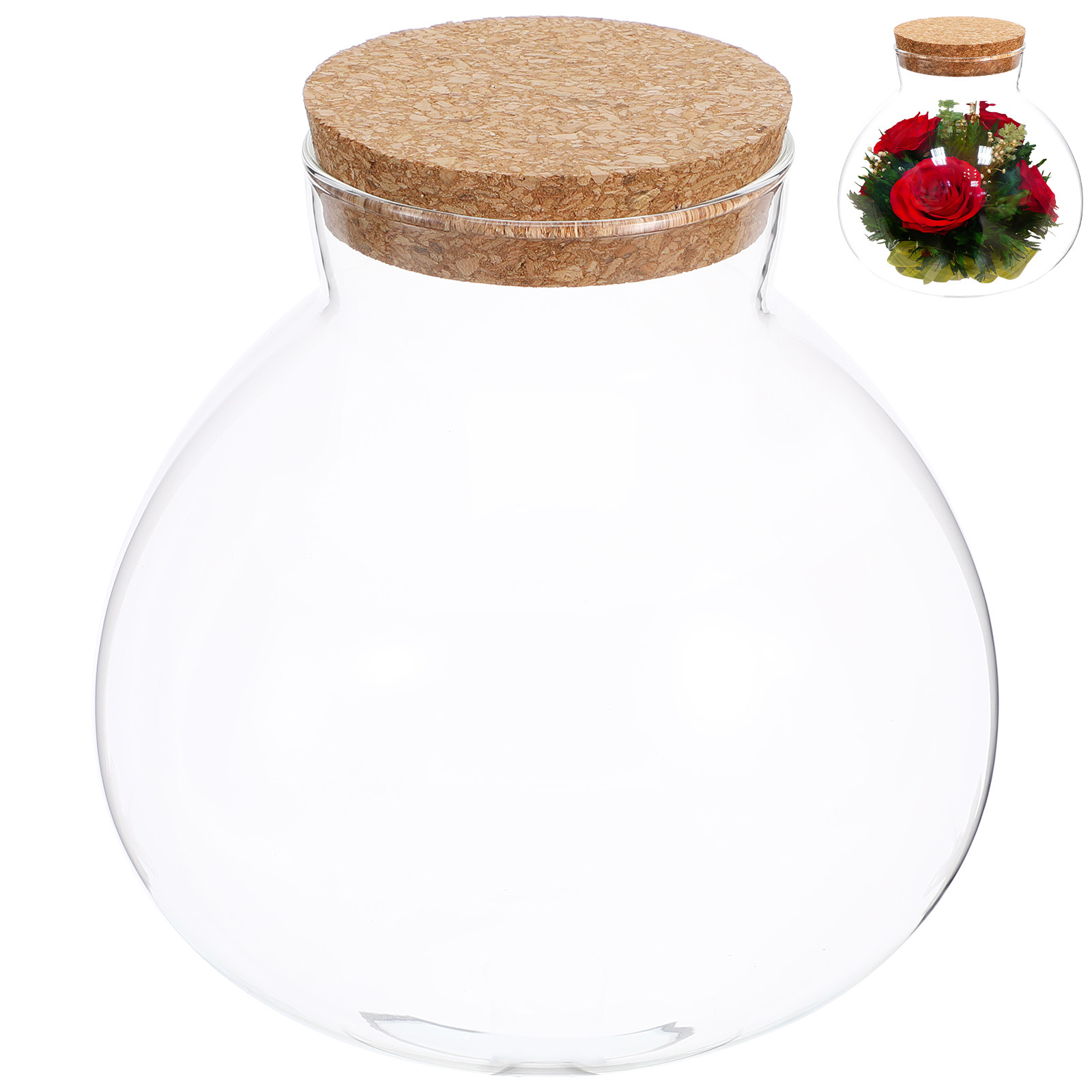 ガラステラリウム生態ボトル 15cmx16cm 丸型コルク蓋 - Terrarium Glass Bottle のレビューと価格