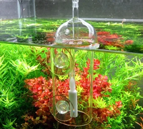 Viv do-魚や植物用の溶解酸素シリンダー、クリスタルガラ - Terrarium Glass Bottle のレビューと価格