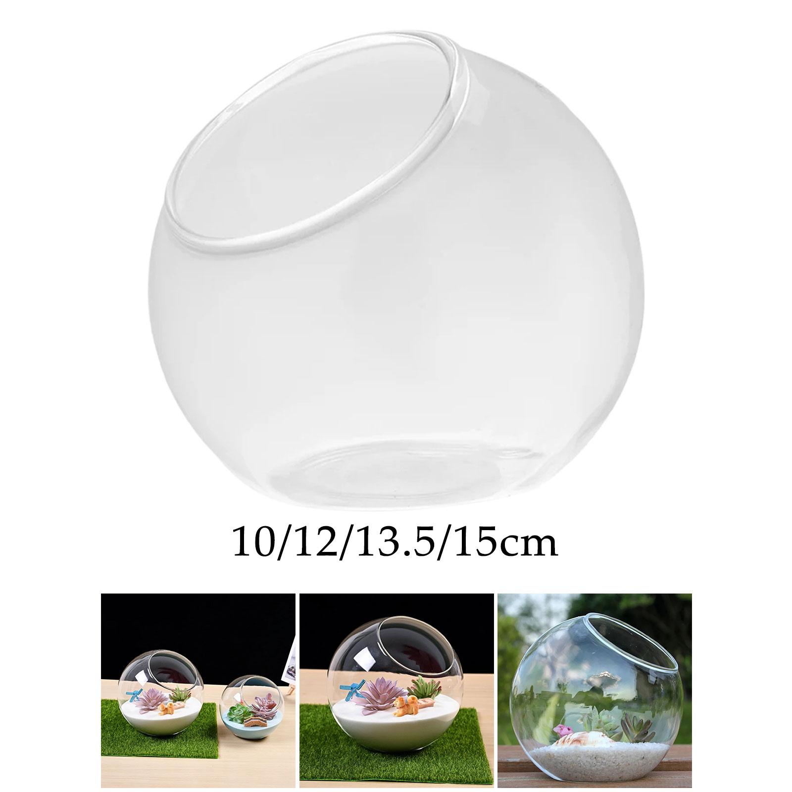 テラリウムガラスの花瓶、ユニークなセンターピース、卓上マイク - Terrarium Glass Bottle のレビューと価格