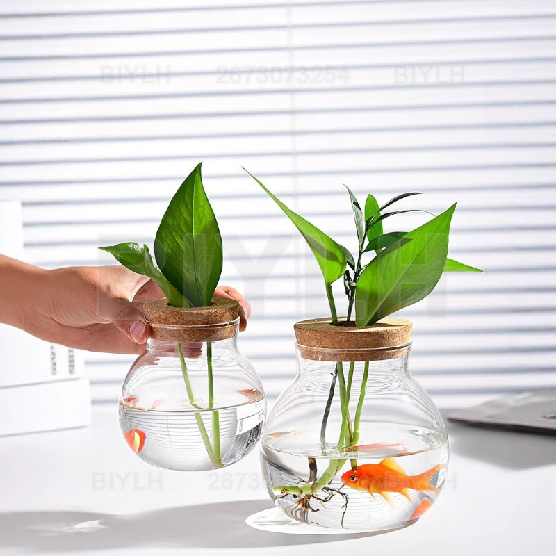 水耕栽培植物ガラス花瓶コルク蓋付き家の装飾透明植木鉢ガーデン - Terrarium Glass Bottle のレビューと価格