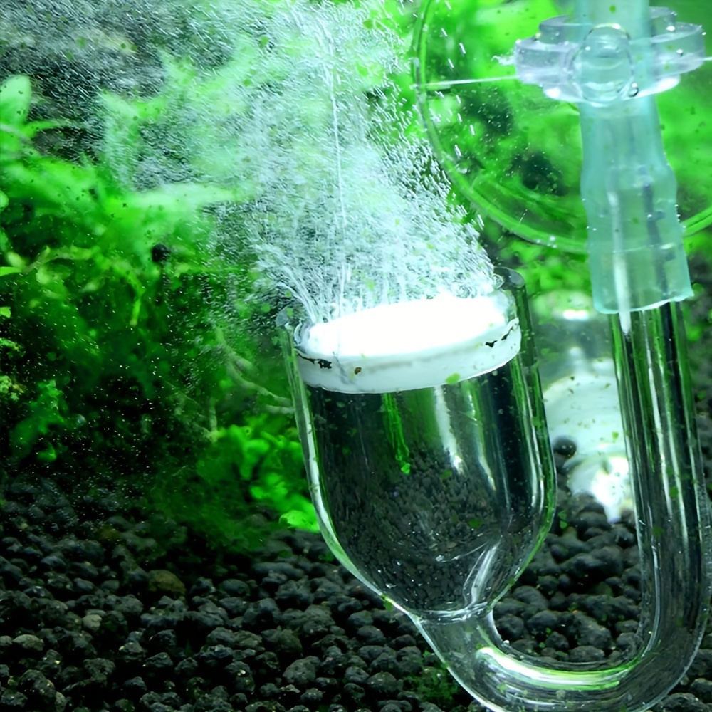 水族館用のCO2噴霧器とディフューザー,バブルカウンター,吸 - Terrarium Glass Bottle のレビューと価格