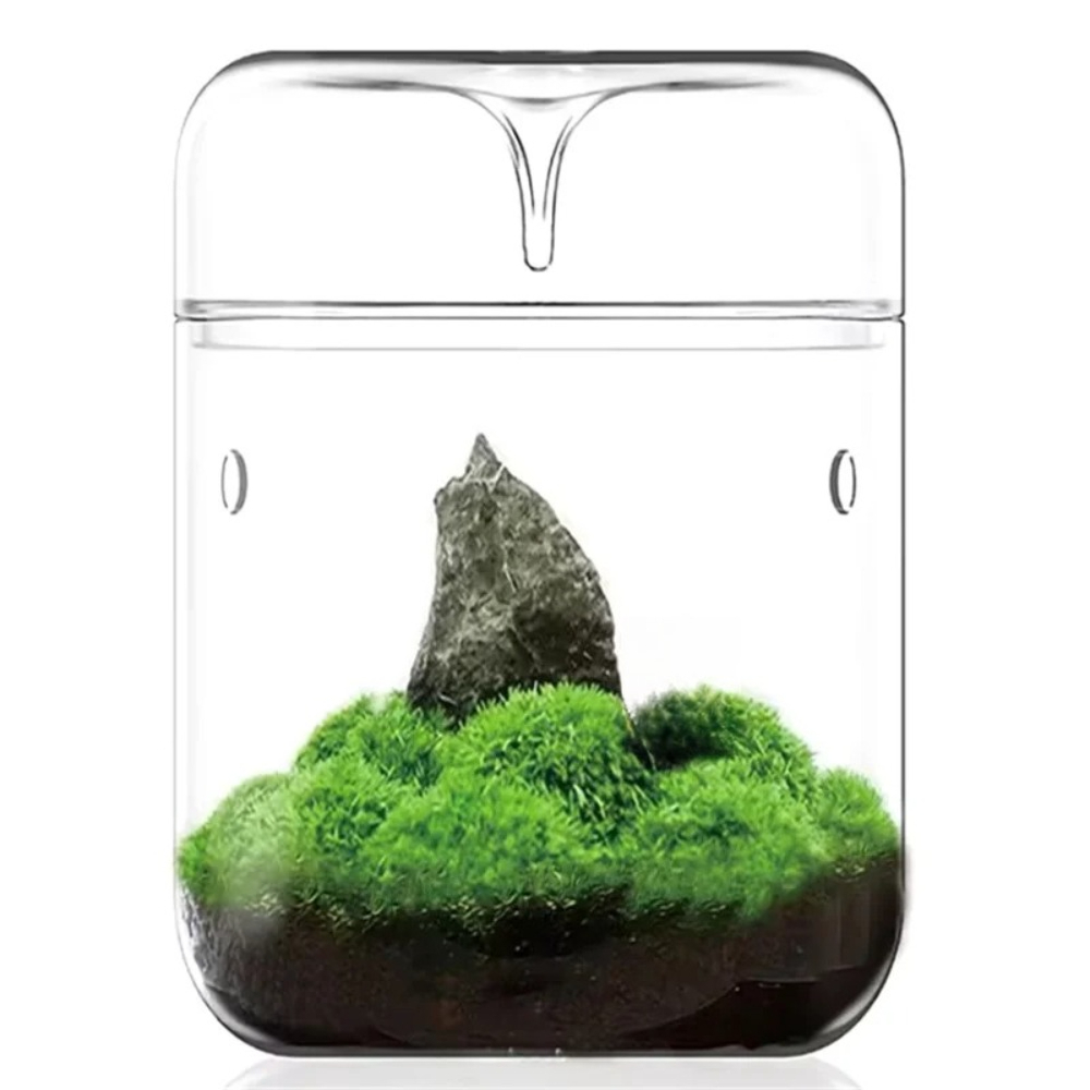 デスクトップガラスマイクロ風景ディスプレイカップ多肉植物モス - Terrarium Glass Bottle のレビューと価格