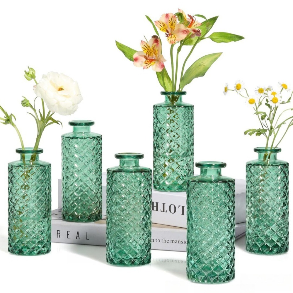 10 個フランスのレトロなレリーフミニガラス花瓶シンプルなデ - Terrarium Glass Bottle のレビューと価格
