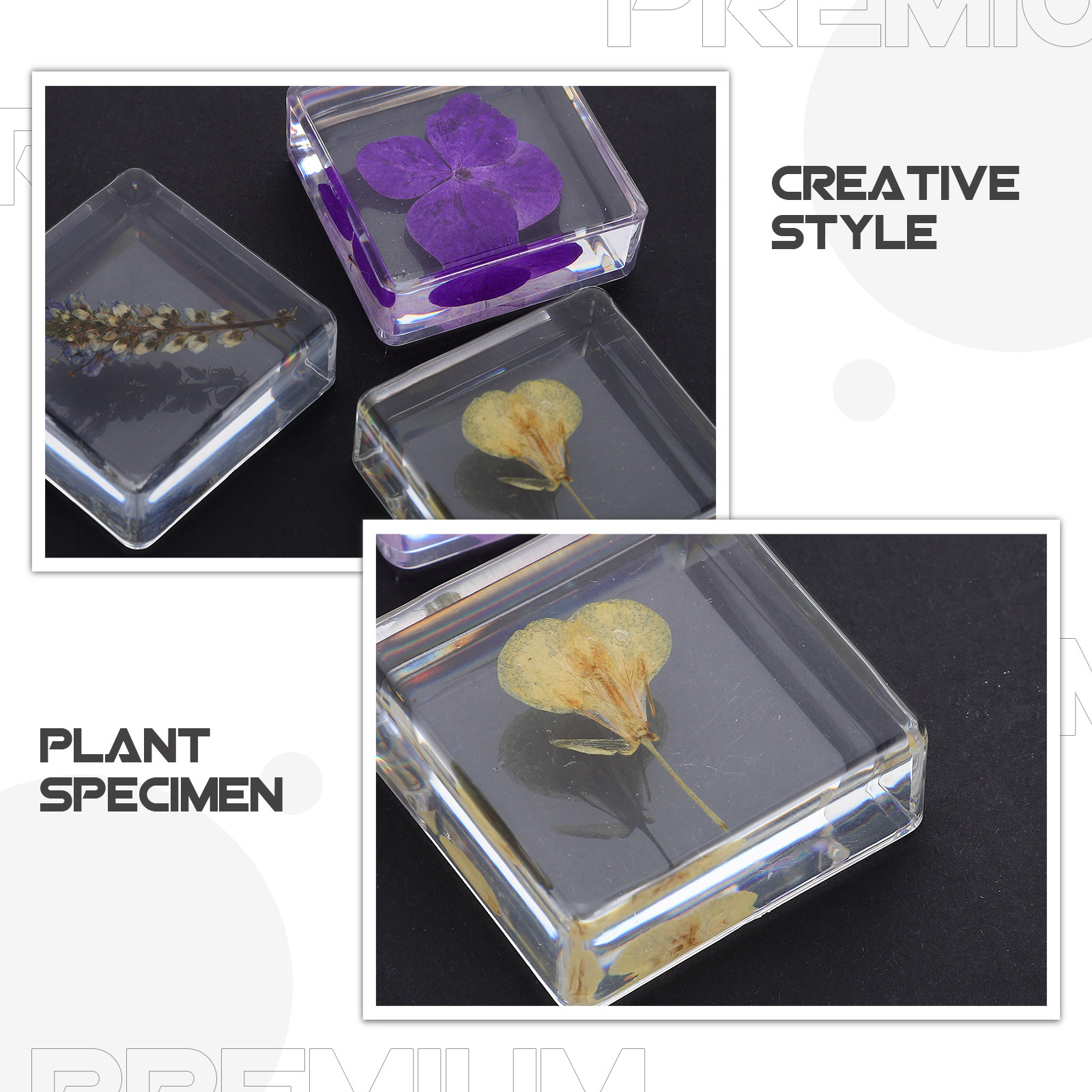 3個入りフラワーレジン標本 植物学的多色レジンブロック 教育 - Home Decor Resin のレビューと価格