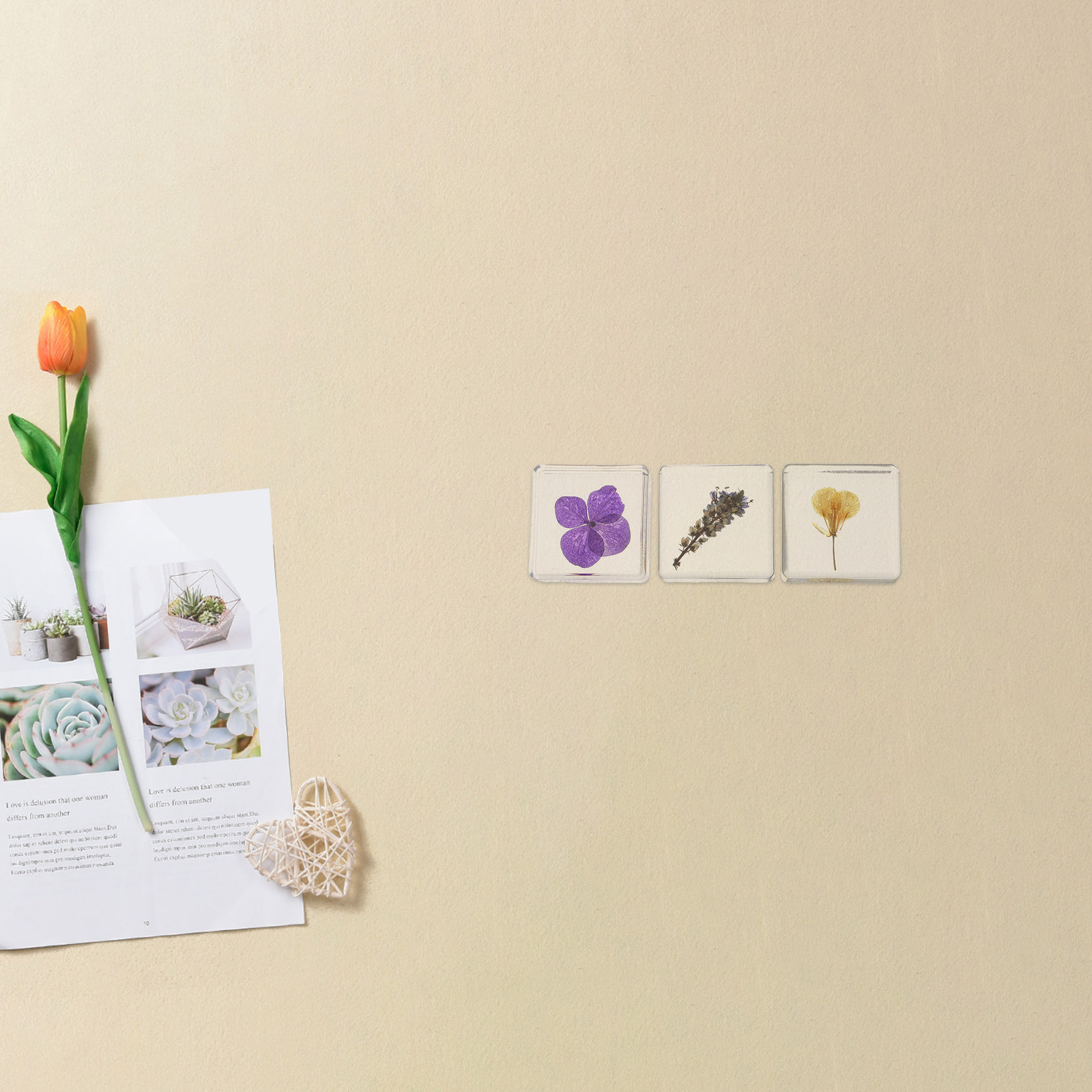 3個入りフラワーレジン標本 植物学的多色レジンブロック 教育 - Home Decor Resin のレビューと価格