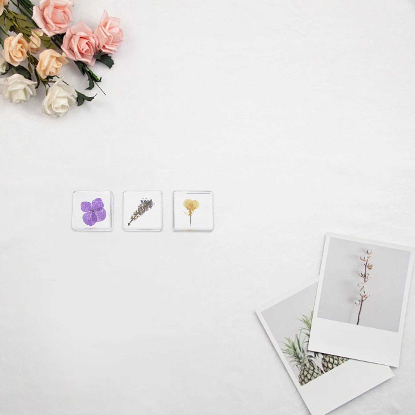 3個入りフラワーレジン標本 植物学的多色レジンブロック 教育 - Home Decor Resin のレビューと価格