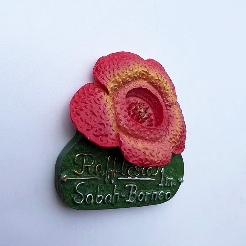 マレーシア サバ州 ボルネオ ラッフルシアの花 3D レジン - Home Decor Malaysia のレビューと価格