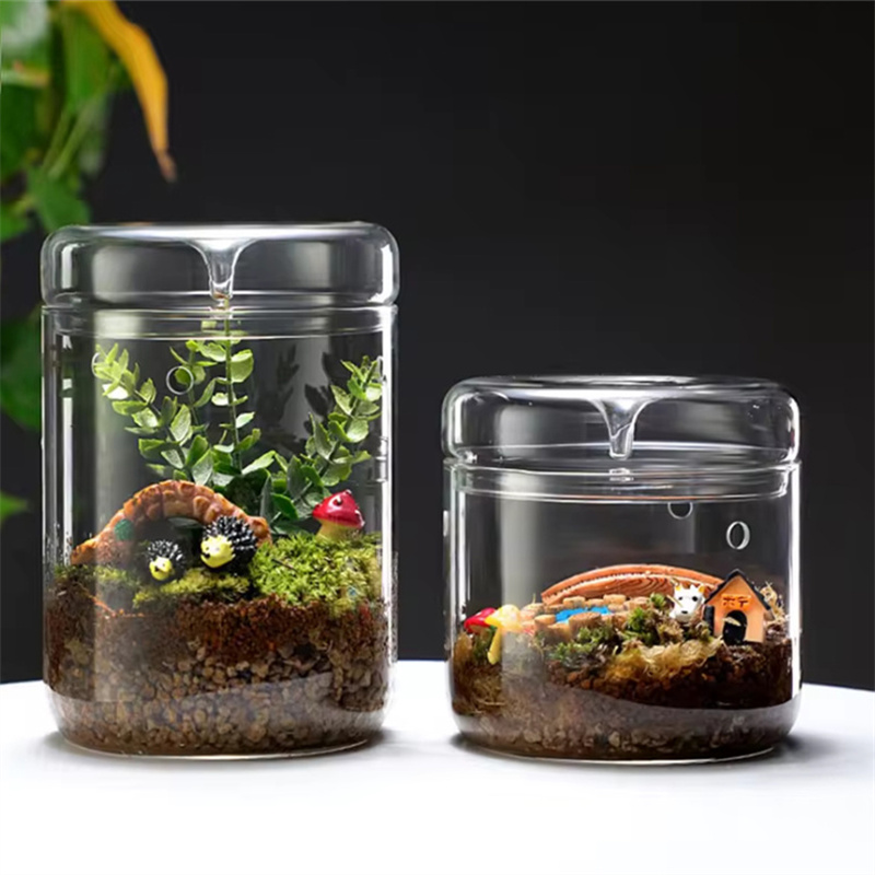 新商品！マイクロランドスケープガラスボトル クリエイティブ露 - Terrarium Glass Bottle のレビューと価格