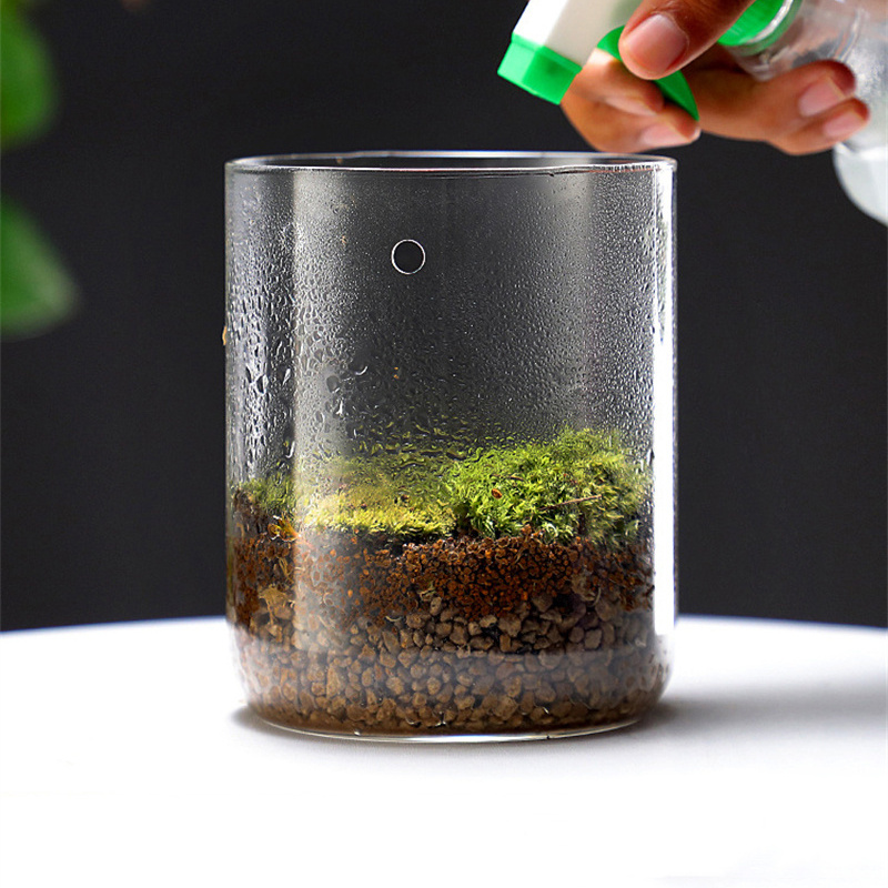 新商品！マイクロランドスケープガラスボトル クリエイティブ露 - Terrarium Glass Bottle のレビューと価格