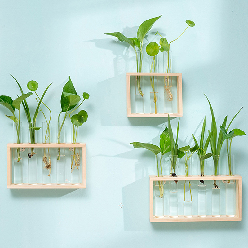 水耕植物コンテナ木製フレーム透明ガラス試験管花瓶植木鉢ホーム - Terrarium Glass Bottle のレビューと価格