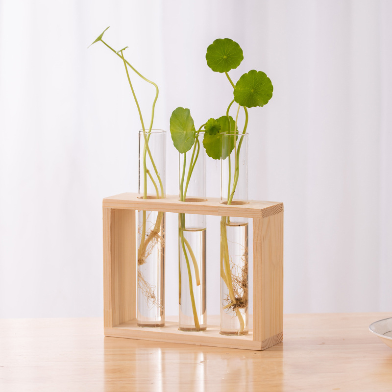 水耕植物コンテナ木製フレーム透明ガラス試験管花瓶植木鉢ホーム - Terrarium Glass Bottle のレビューと価格