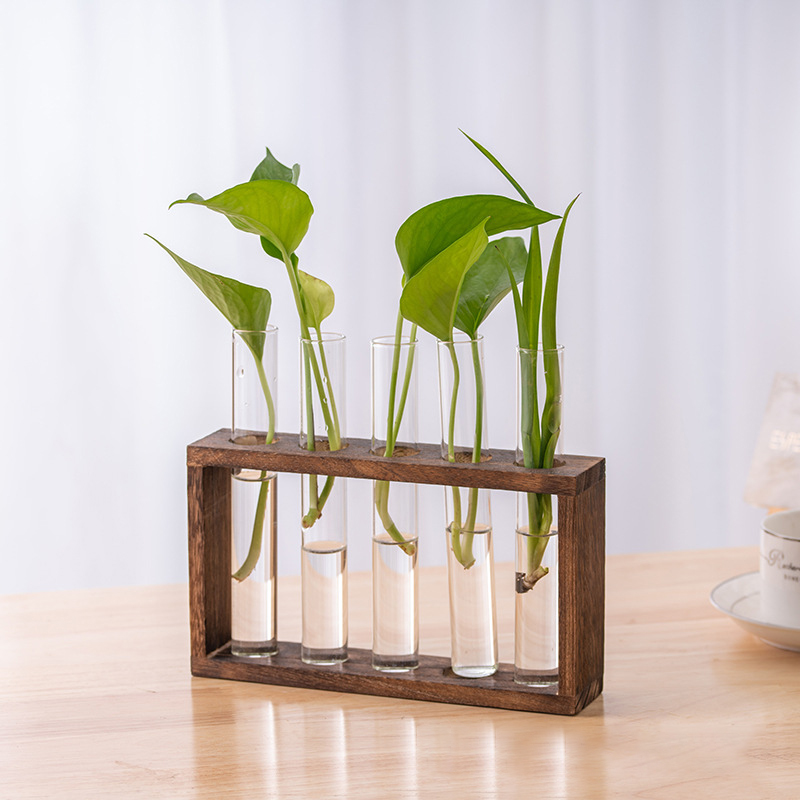 水耕植物コンテナ木製フレーム透明ガラス試験管花瓶植木鉢ホーム - Terrarium Glass Bottle のレビューと価格